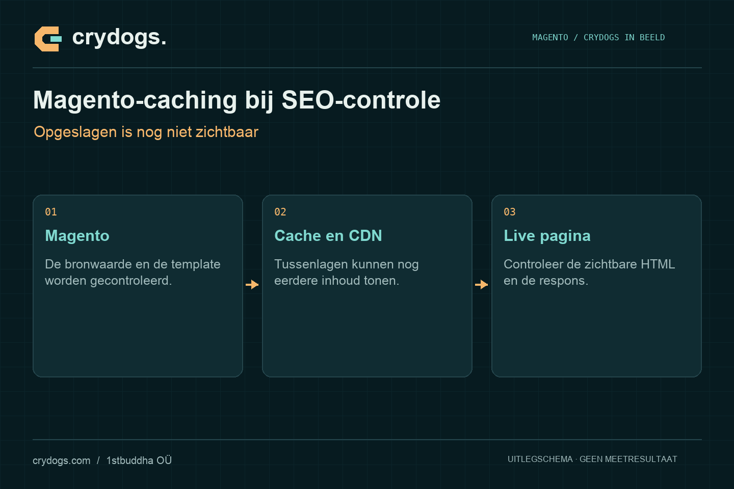 Crydogs: magento-caching bij seo-controle — opgeslagen is nog niet zichtbaar